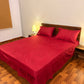 Loompure Cotton Bed Sheet Plain Cherry